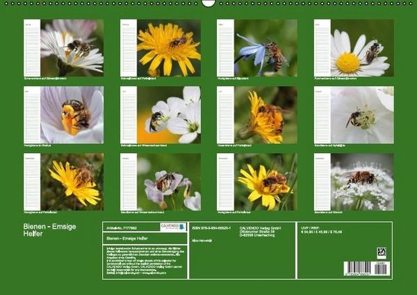 Produktbild: Bienen - Emsige Helfer (Wandkalender immerw&auml;hrend DIN A2 quer)