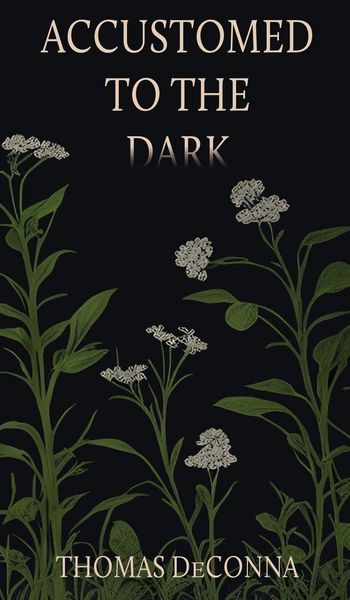 Produktbild: Accustomed to the Dark