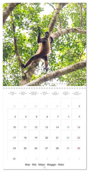 Produktbild: Costa Rica wild and peaceful (Wall Calendar 2027 12 &times; 12 Inch) CALVENDO 12 Month Wall Calendar
