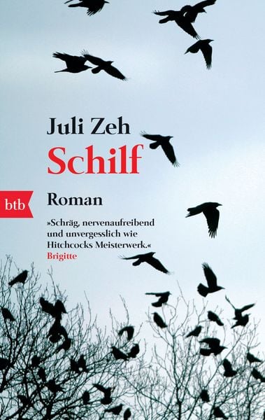 Produktbild: Schilf