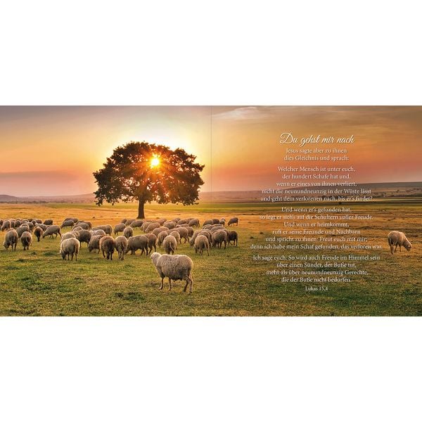 Produktbild: Psalm 23