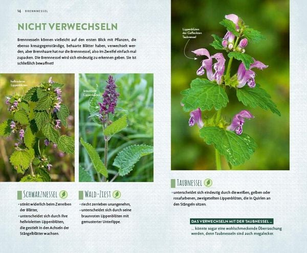 Produktbild: Megal&auml;stig &ndash; megalecker &ndash; megagesund