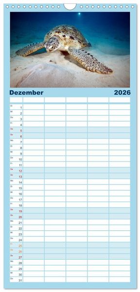 Produktbild: Familienplaner 2026 - Tauchen, Fische und Meer mit 5 Spalten (Wandkalender, 21 x 45 cm) CALVENDO