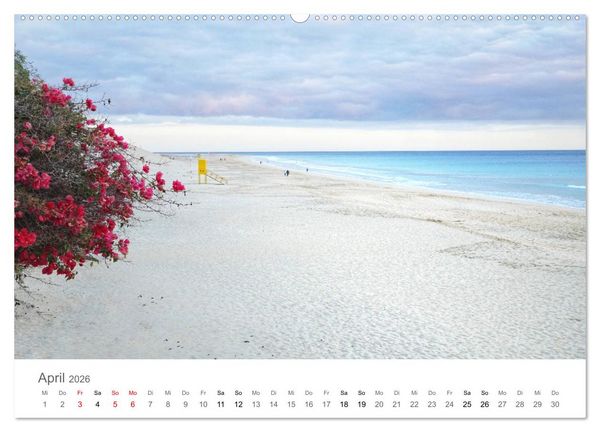 Produktbild: Fuerteventura - die W&uuml;steninsel der Kanaren (hochwertiger Premium Wandkalender 2026 DIN A2 quer), Kunstdruck in Hochglanz