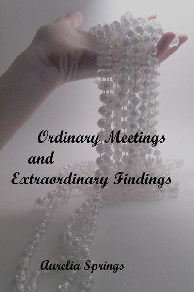 Produktbild: Ordinary Meetings and Extraordinary Findings (The Filmmaker Series, #1)