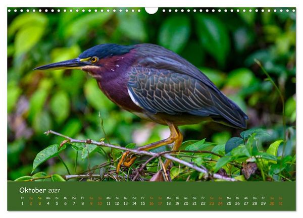 Produktbild: Costa Rica - Naturparadies zwischen Karibik und Pazifik (Wandkalender 2027 DIN A3 quer), CALVENDO Monatskalender