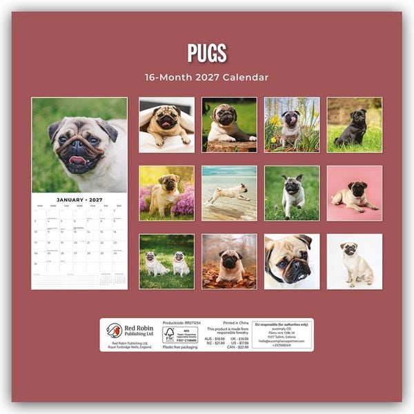 Produktbild: Pugs &ndash; Mops 2027 &ndash; 16-Monatskalender