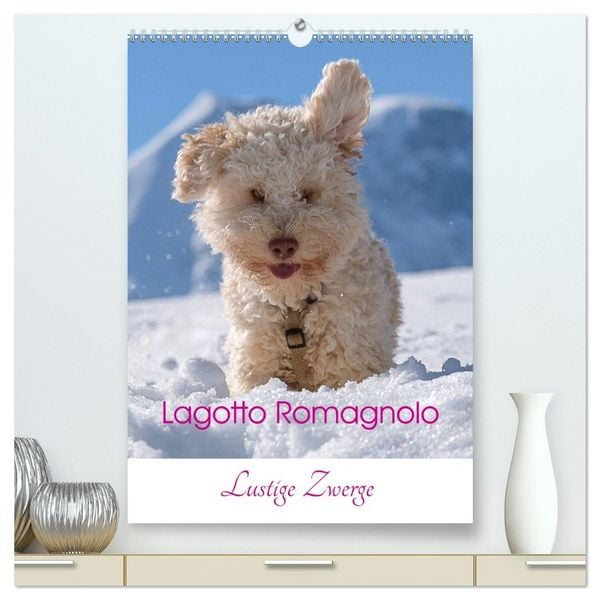 Produktbild: Lagotto Romagnolo - Lustige Zwerge (hochwertiger Premium Wandkalender 2026 DIN A2 hoch), Kunstdruck in Hochglanz