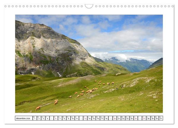 Produktbild: Pyr&eacute;n&eacute;ennes (Calendrier mural 2026 DIN A3 vertical), CALVENDO calendrier mensuel