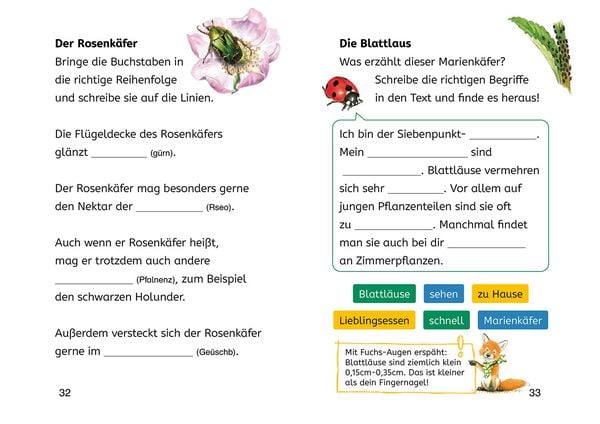 Produktbild: Lesen lernen mit Naturr&auml;tseln, B&uuml;cherhelden 2. Klasse, Insekten & Spinnen