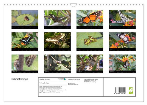 Produktbild: Schmetterlinge (Wandkalender 2026 DIN A3 quer), CALVENDO Monatskalender