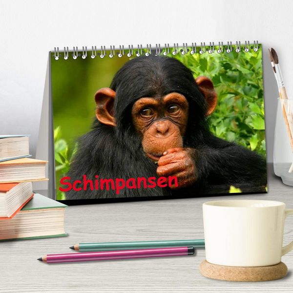 Produktbild: Schimpansen (Tischkalender 2026 DIN A5 quer), CALVENDO Monatskalender