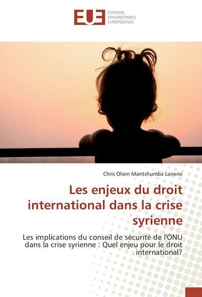 Produktbild: Les enjeux du droit international dans la crise syrienne