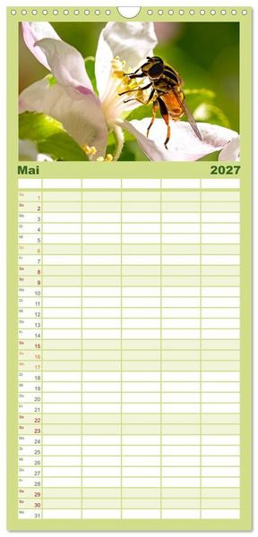 Produktbild: Familienplaner 2027 - INSEKTEN - Makrofotografie in freier Natur mit 5 Spalten (Wandkalender, 21 x 45 cm) CALVENDO
