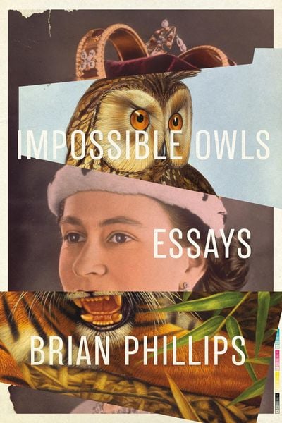 Produktbild: Impossible Owls