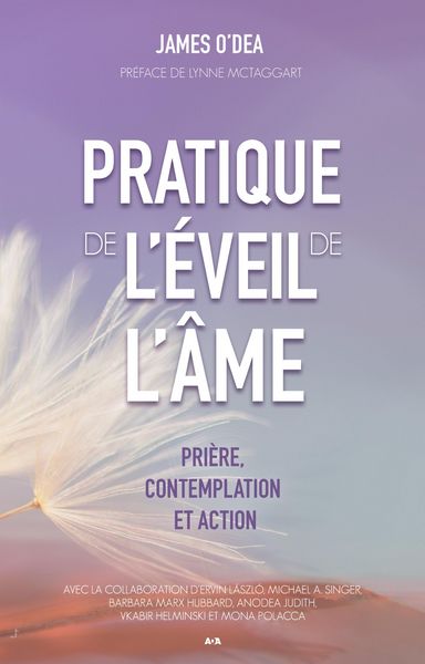 Produktbild: Pratique de l'eveil de l'ame