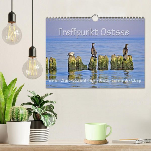 Produktbild: Treffpunkt Ostsee (Wandkalender 2026 DIN A4 quer), CALVENDO Monatskalender