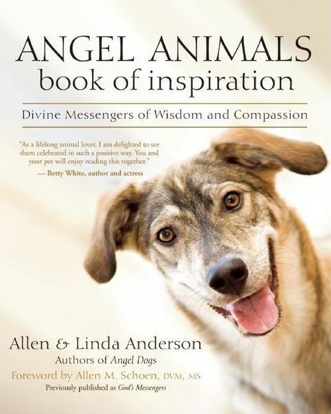 Produktbild: Angel Animals Bk Of Inspiratio