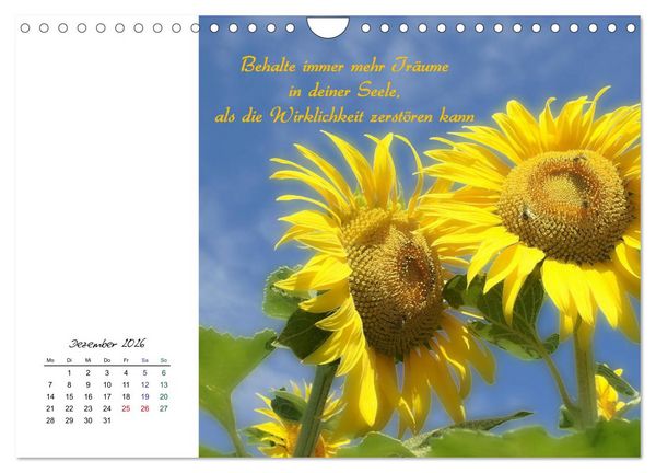 Produktbild: Innehalten in der Natur ... mit Weisheiten und Sprichworten der Indianer (Wandkalender 2026 DIN A4 quer), CALVENDO Monatskalender