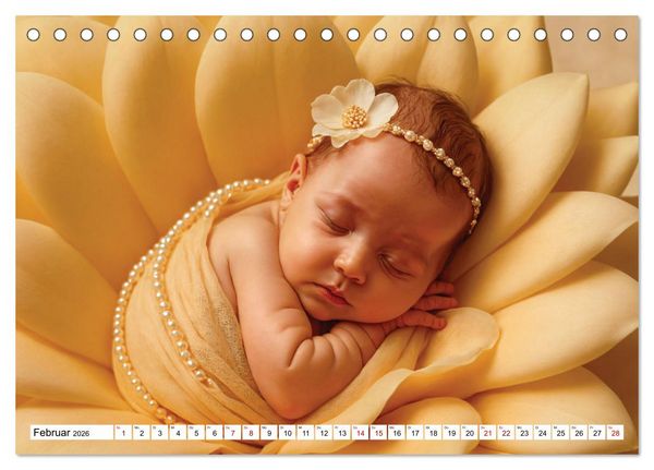 Produktbild: Zauberhaft schlafende Babies - Ruhig und friedlich (Tischkalender 2026 DIN A5 quer), CALVENDO Monatskalender