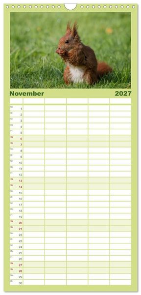 Produktbild: Familienplaner 2027 - Mit dem Eichh&ouml;rnchen durchs Jahr mit 5 Spalten (Wandkalender, 21 x 45 cm) CALVENDO