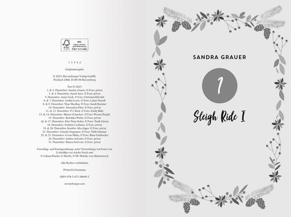 Winter Wishes. Ein Adventskalender. Lovestorys für 24 Tage plus Silvester-Special