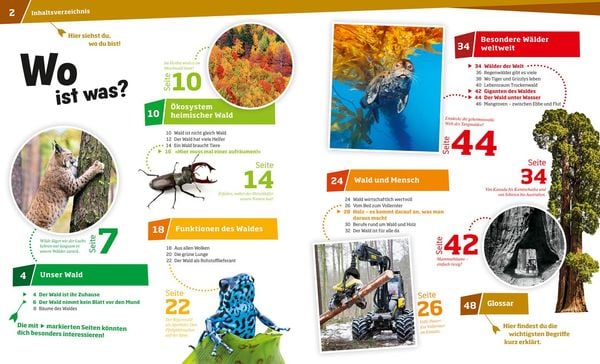 Produktbild: WAS IST WAS Band 134 Wald. Mehr als nur Bäume