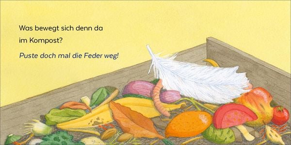 Produktbild: Wer hat sich denn hier versteckt?