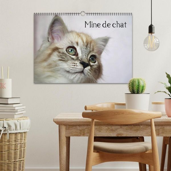 Produktbild: Mine de chat (Calendrier mural 2027 DIN A3 vertical), CALVENDO calendrier mensuel