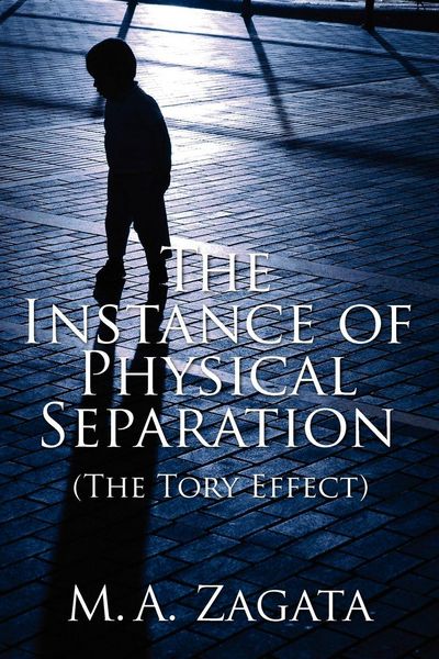 Produktbild: The Instance of Physical Separation