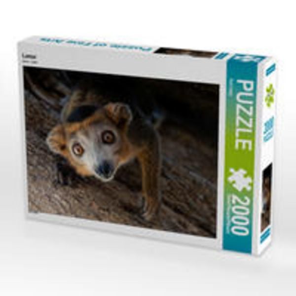CALVENDO Puzzle Lemur | 2000 Teile Lege-Größe 90 × 67 cm Foto-Puzzle für glückliche Stunden
