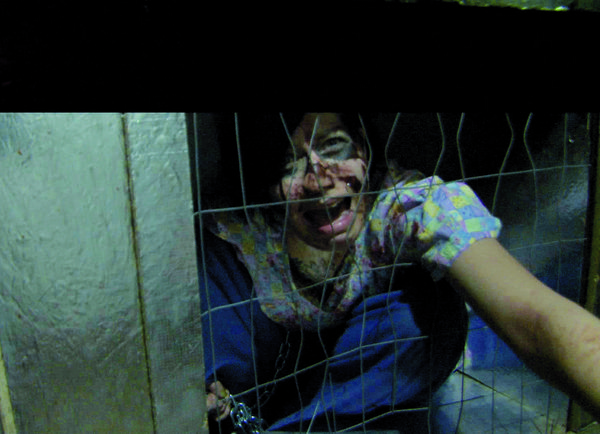 Produktbild: Houses of Terror
