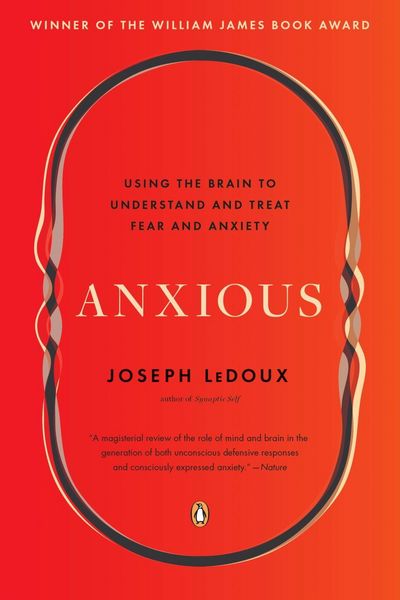 Produktbild: Anxious
