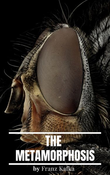 Produktbild: The Metamorphosis