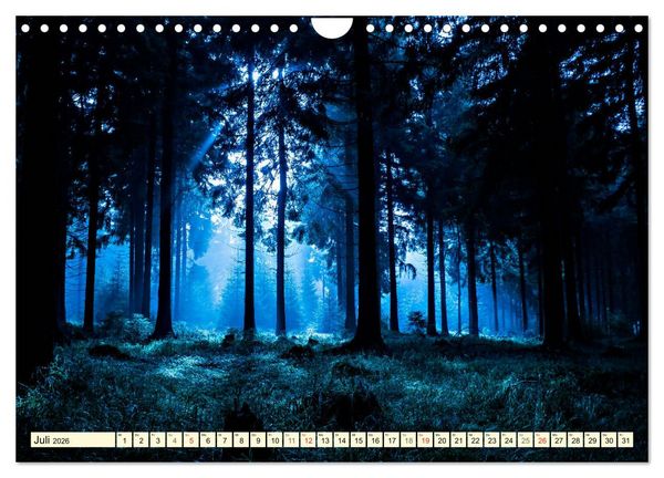 Produktbild: Mystische W&auml;lder - Zauber der Natur (Wandkalender 2026 DIN A4 quer), CALVENDO Monatskalender