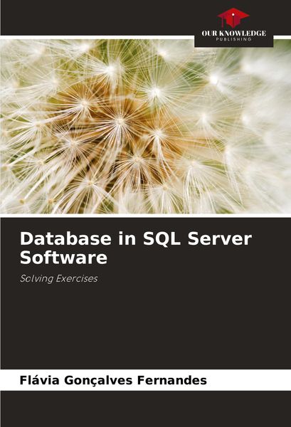 Produktbild: Database in SQL Server Software