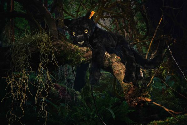 Produktbild: Steiff 084072 - Nero Schlenker-Panther, liegend, schwarz, Pl&uuml;sch, 40 cm