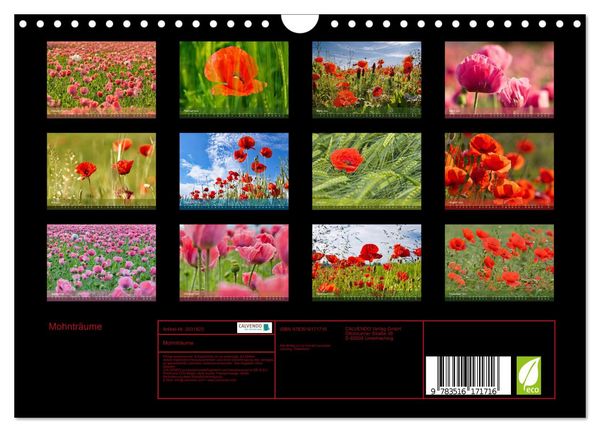 Produktbild: Mohntr&auml;ume (Wandkalender 2026 DIN A4 quer), CALVENDO Monatskalender