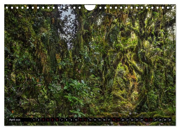 Produktbild: Trauminseln Neuseeland (Wandkalender 2026 DIN A4 quer), CALVENDO Monatskalender