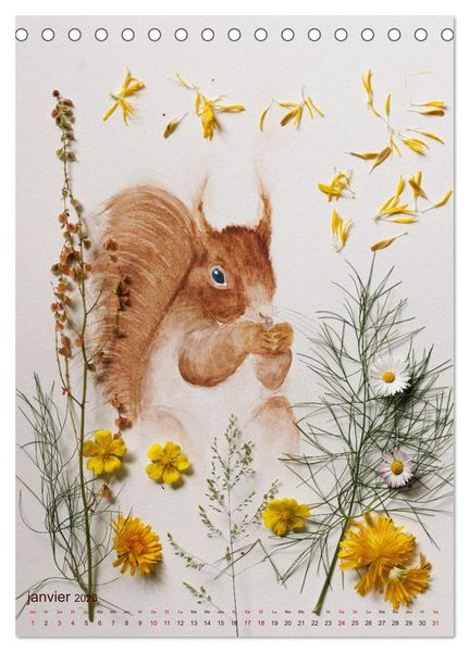 Produktbild: Animaux &agrave; l'aquarelle et v&eacute;g&eacute;taux (Calendrier de bureau 2026 DIN A5 horizontal), CALVENDO calendrier mensuel