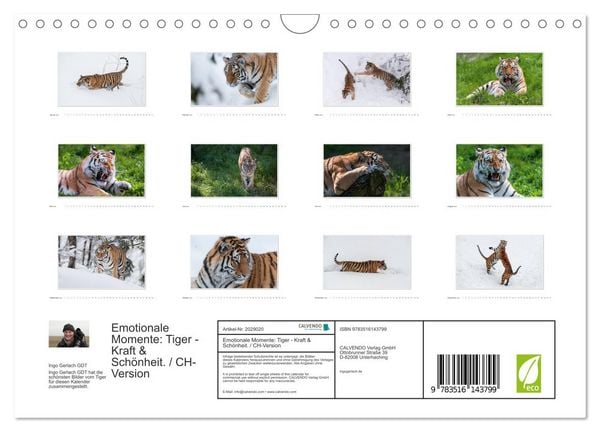 Produktbild: Emotionale Momente: Tiger - Kraft & Sch&ouml;nheit. / CH-Version (Wandkalender 2026 DIN A4 quer), CALVENDO Monatskalender