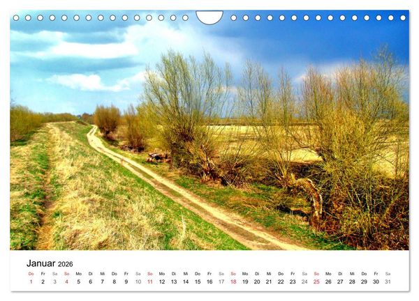 Produktbild: Elchniederung - Naturparadies in Ostpreu&szlig;en (Wandkalender 2026 DIN A4 quer), CALVENDO Monatskalender