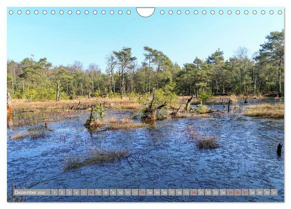 Produktbild: Pietzmoor - ein Hochmoor in der L&uuml;neburger Heide (Wandkalender 2026 DIN A4 quer), CALVENDO Monatskalender
