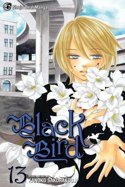 Produktbild: Black Bird, Vol. 13
