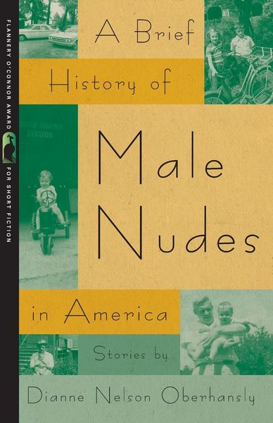 Produktbild: A Brief History of Male Nudes in America