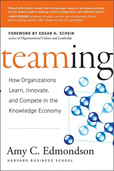 Produktbild: Teaming - How Organizations Learn, Innovate and Compete in the Knowledge Economy