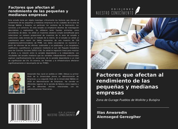 Produktbild: Factores que afectan al rendimiento de las peque&ntilde;as y medianas empresas