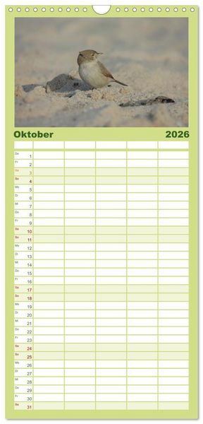 Produktbild: Familienplaner 2026 - Wilde Vogelwelt Helgoland mit 5 Spalten (Wandkalender, 21 x 45 cm) CALVENDO