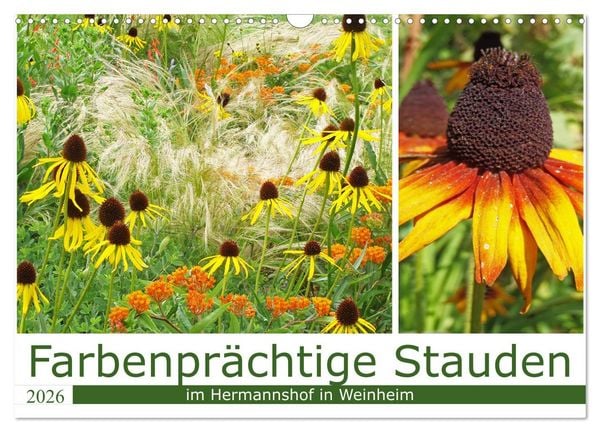 Farbenprächtige Stauden im Hermannshof in Weinheim (Wandkalender 2026 DIN A3 quer), CALVENDO Monatskalender