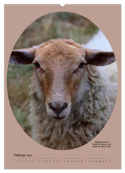 Produktbild: Scharfe Portraits (Wandkalender 2026 DIN A2 hoch), CALVENDO Monatskalender